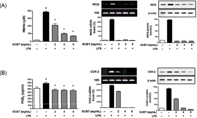 Fig. 3. Effects of GCBT on the production of nitrite and PGE 2 , and expression of iNOS and COX-2 in LPS-stimulated RAW264.7 cells