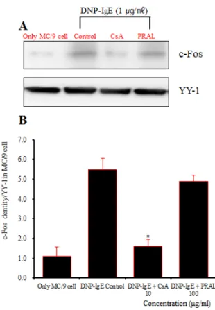 Fig. 12-1. Effect of PRAL on c-Jun signal events in MC/9  mast cells induced with DNP-IgE