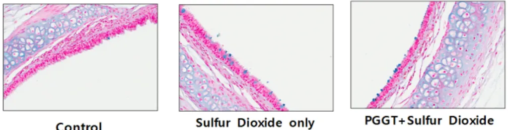 Fig. 9. Effect of PGGT on LDH release from cultured RTSE cells 