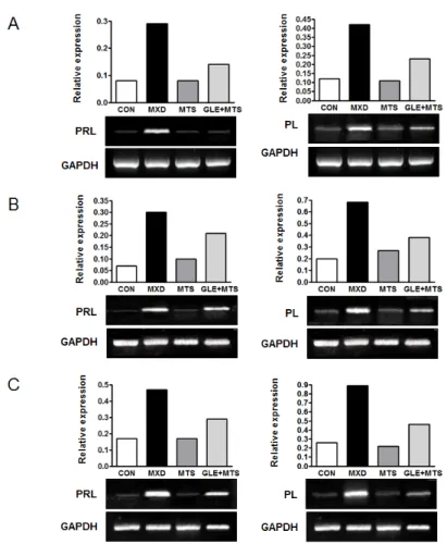 Fig. 11. Effect of GLE and MTS on the expression of PRL and PL mRNA in an alopecia model of C57BL/6N mice