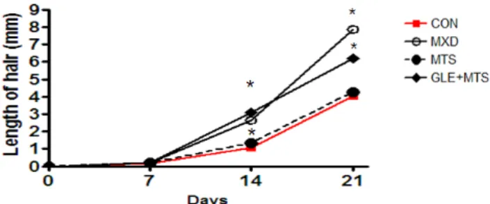 Fig. 7. Effect of GLE and MTS on hair length in an alopecia model of C57BL/6N mice 