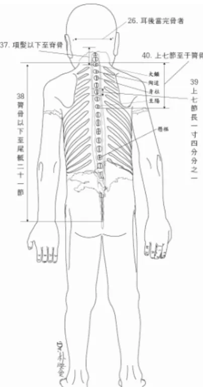그림  11.  鍼金銅人의  伏人圖와  骨度法. 그런데  基準點이  분명하지  않아서  실측하기  어려운  항목 도  있었다.  예를  들어  ‘9.  騔骬에서  天樞까지의  길이’,  ‘30