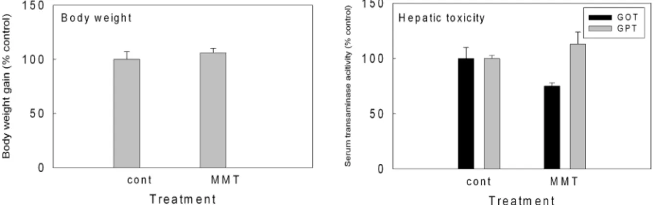 Fig. 10. Effect of MMT on body weight gain of rat after 