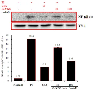 Fig. 12. Effect of G-YGS on NF-κB p65 signal events in  RBL-2H3 cells induced with PI