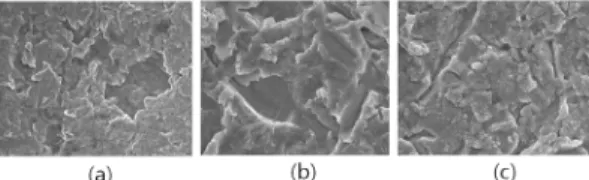 Fig.  5.  Representative  SEM  micrographs  (1000×)  of  the (a) cast specimen and (b) Milling specimen  (c)3d  printing  specimen  metal–ceramic  interfaces  after  debonding  test