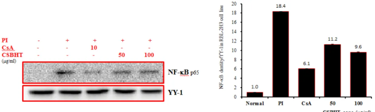 Fig. 7. Effect of CSBHT on NF-κB p65 signal events in RBL-2H3 cells induced with PI
