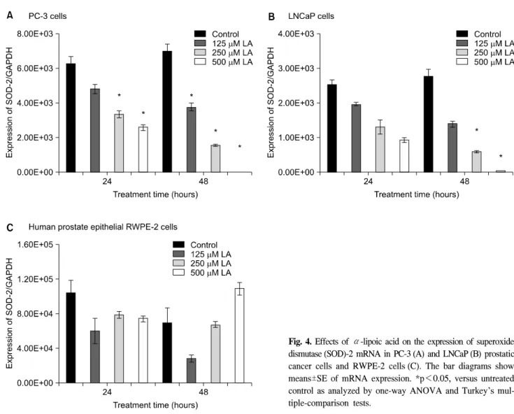 Fig.  4.  Effects  of  α-lipoic  acid  on  the  expression  of  superoxide  dismutase (SOD)-2  mRNA  in  PC-3 (A)  and  LNCaP (B)  prostatic  cancer  cells  and  RWPE-2  cells (C)