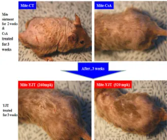 Fig. 9. Topical application of CsA and YJT treatment  of atopic dermatitis NC/Nga mouse induced  by Mite antigen for 3 weeks