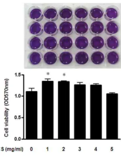 Fig.  1.  Effects  of  CS  on  the  cell  viability  of  RBL-2H3  cells.