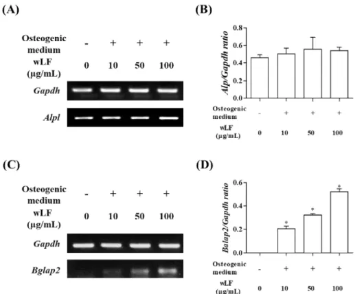Fig. 7. Effect of wLF on mRNA expression of ALP and osteocalcin in MC3T3-E1 cells. (A) ALP (Alpl) was meseured by RT-PCR