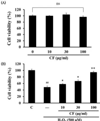 Fig. 1. Effect of CF on H 2 O 2 -induced cytotoxicity in HaCaT cells  (A) Cells were treated with various concentrations (10, 30, 100 