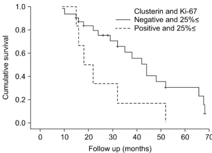 Fig.  5.  Recurrence-free  survival  of  the  patients  with  a  transitional  cell  carcinoma  according  to  the  Ki-67  labeling  index  and  clusterin  expression (p=0.019)