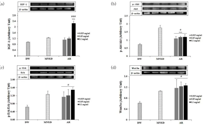 Fig. 3. Effect of AR on protein expressions in HDPCs