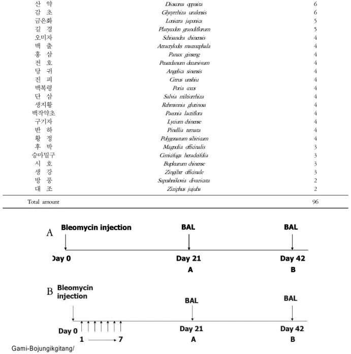 Fig.  1.  This  is  a  schematic  diagram  of  the  experimental  protocol.  A.  Group  I  is  a  bleomycin  induced  lung  fibrosis  model  without  treatment