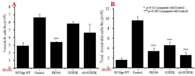 Fig.  6.  Total  cell  number  of  ALN  and  dorsal  skin  in  atopic  dermatitis  like  skin  NC/Nga  mouse  induced  by  BMAC.