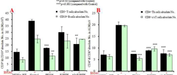 Fig.  7.  Effects  of  JUJSTK  &amp;  AJ+JUJSTK  treatment  on  T  and  B  cell  changes  of  absolute  numbers  in  ALN  cells  in  NC/Nga  mouse.