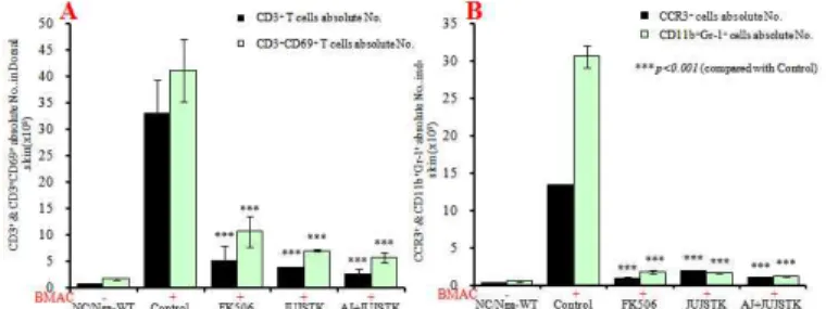 Fig.  12.  Effects  of  JUJSTK  &amp;  AJ+JUJSTK  treatment  on  changes  of  absolute  numbers  in  dorsal  skin  cells  in  NC/Nga  mouse.