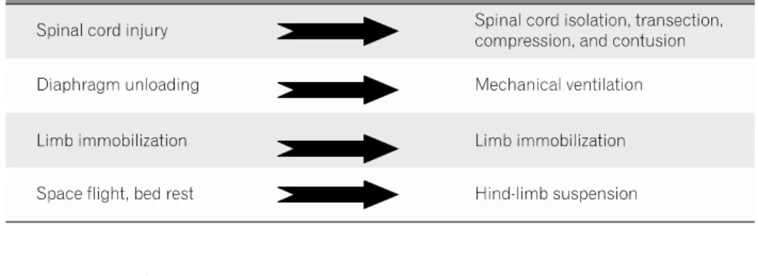 Table  1.  Summary  of  National  Acute  Spinal  Cord  Injury  Study  I,  II,  and  III