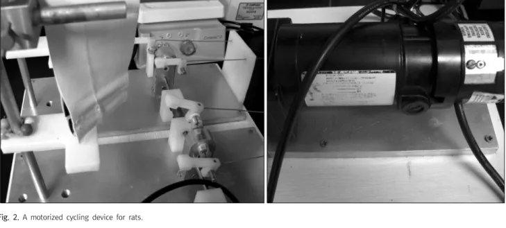 Fig.  2.  A  motorized  cycling  device  for  rats.