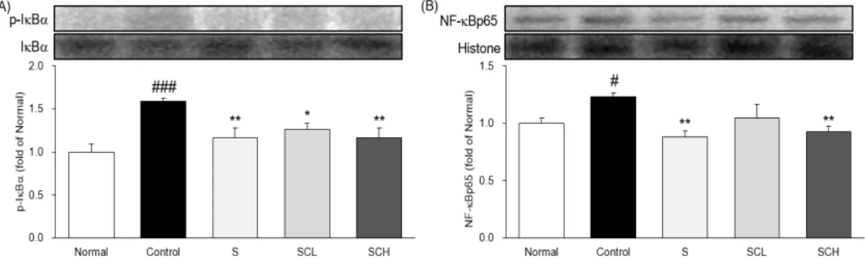 Fig. 8. Expression inflammation-related proteins in liver.