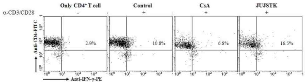 Fig.  4.  Effects  of  JUJSTK  extract  on  IFN-γ+  intracellular  staining  analysis  by  α-CD3/α -CD28-stimulated  murine  CD4+  T  cells.
