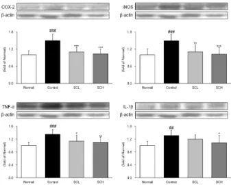 Fig.  4.  Expressions  of  inflammatory  enzymes  and  cytokines.