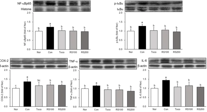 Fig. 6. Expression of inflammation related proteins in esophagus.