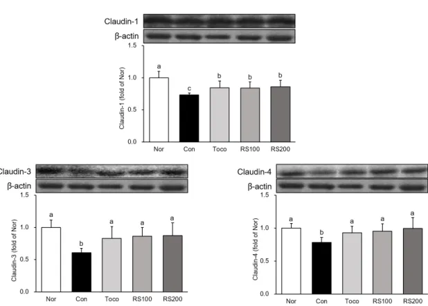 Fig. 8. Expression of tight junction proteins in esophagus. 