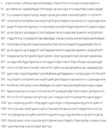 Fig. 3. The structure of pET-22b (+) vector, including the T7  pro-motor (A) and the structure of the constructed oxc/frc expression  vec-tor [named pET-22b(+) - oxc/frc]