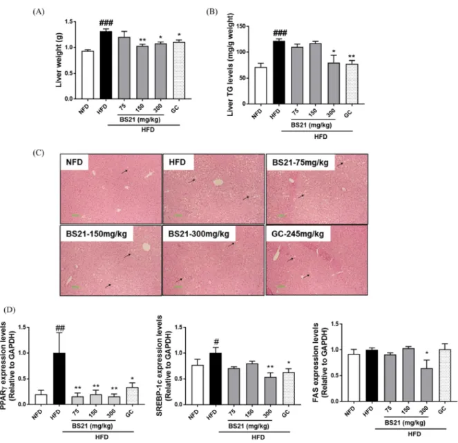 Fig. 3. Effects of BS21 on liver weight, hepatic lipid accumulation, adipogenesis-related gene expression in liver in HFD-induced obese  mice