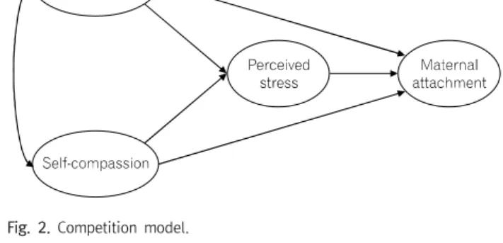 Fig.  1.  Research  model. Fig.  2.  Competition  model.마음챙김과  자기연민은  각각  태아애착을  직접  설명하는  것으로  보인다