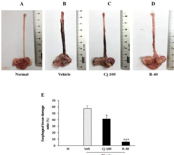 Fig.  1.  Effects of C. japonica extracts on  esophagus tissues  of  rats  induced  esophagitis