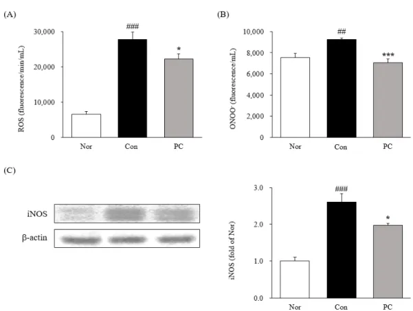 Fig. 2. Serum ROS and ONOO -  levels. expression of oxidative factors in serum. Reactive oxygen species (ROS); (A), peroxynitrite (ONOO - );