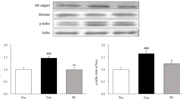 Fig. 6. Expressions of inflammation related proteins. nuclear factor-kappa Bp65 (NF-κ Bp65), phosphorylation inhibitor of nuclear factor  kappa B alpha (p-Iκ Bα ) protein expressions