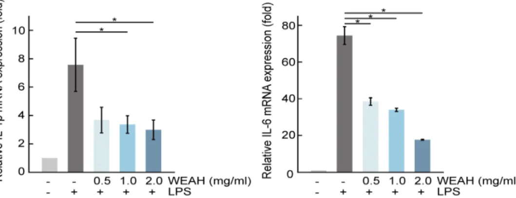 Fig.  3.  Effects  of  WEAH  on  mRNA  expression  level  of  IL-1β and  IL-6.  RAW  264.7  cells  were  treated  with  indicated  concentration  of  WEAH with LPS (1 ㎍/㎖) or without for 24 h