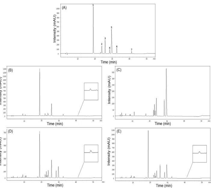 Figure 3. HPLC chromatograms of standard mixture (A), the decoction of S. baicalensis (B), the decoction of C
