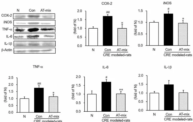 Figure 6. Esophageal COX-2, iNOS, TNF-α , IL-6, and IL-1β  protein expressions. N, normal rats; Con, CRE control rats; AT-mix,  AT-mix 200 mg/kg body weight/day-treated CRE rats