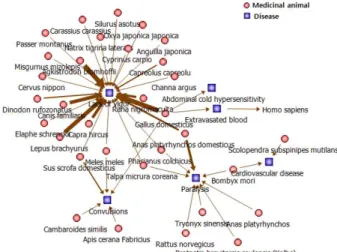 Fig. 5. The network map for circulatory system disorders.