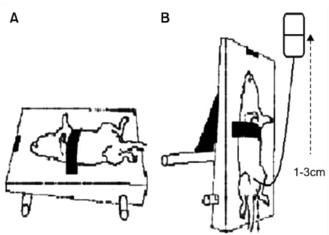 Fig.  1.  Vertical  tilt/intravesical  pressure  clamp  model  of  urinary  incontinence