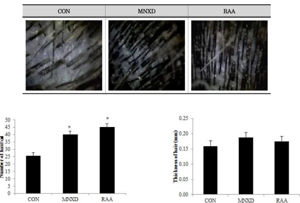 Figure 1. Effects of RAA ethanol extract on hair density and hair thickness in alopecia model of C57BL/6 mice by Folliscope.