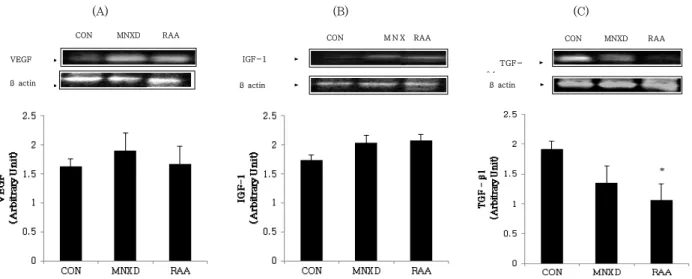 Figure 4. Effects of RAA ethanol extract on hair growth-related protein expressions in alopecia model of C57BL/6 mice