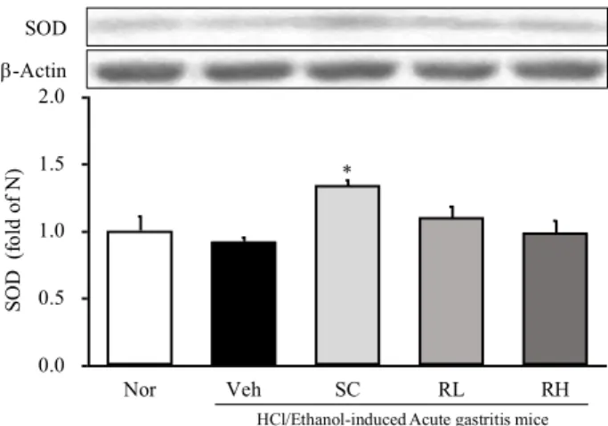 Fig. 9. The effects of ethanol extract from Rehmannia Radix on the  COX-2 protein expression in HCl/ethanol induced gastritis animal  model.