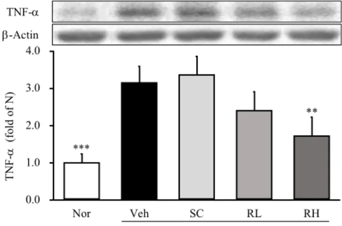Fig. 10. The effects of ethanol extract from Rehmannia Radix on  the iNOS protein expression in HCl/ethanol induced gastritis animal  model.