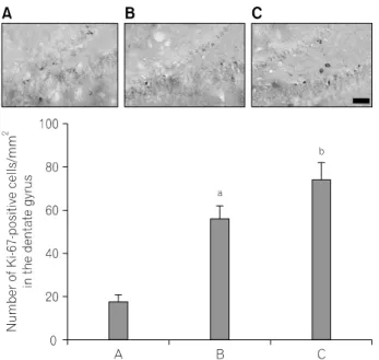 Fig.  3.  Effects  of  treadmill  exercise  on  expression  of  BDNF  and  TrkB  proteins  in  the  hippocampus