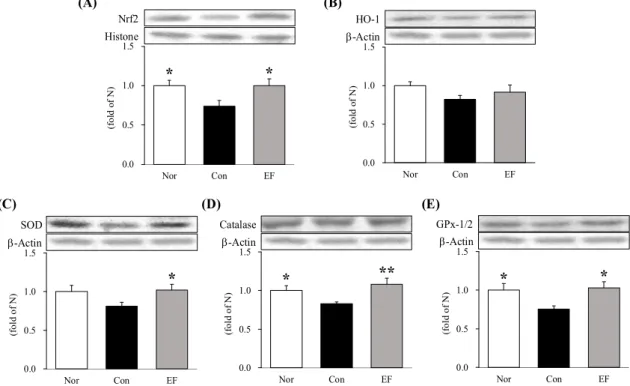 Fig.  3.  Expression  of  anti-oxidant  enzyme  of  esophagus  tissues.  All  data  are  expressed  means±SEM  (n=6)