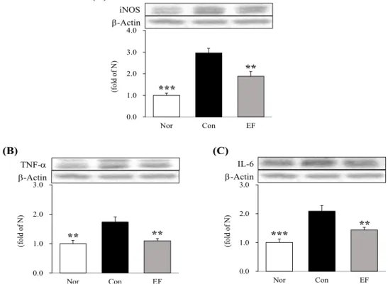 Fig.  5.  Expression  of  inflammtory  factors  in  esophagus  tissues.  All  data  are  expressed  means±SEM  (n=6)