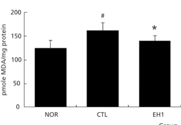 Fig. 8. Effects of EH1 on Lipid Peroxidation Levels  in Hypercholesterolemic mice. Lipid peroxidation in  liver tissues were measured using spectrophotometry