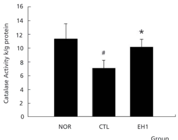 Fig. 10. Effects of EH1 on SOD Activities of Liver Tis- Tis-sues in Hypercholesterolemic mice