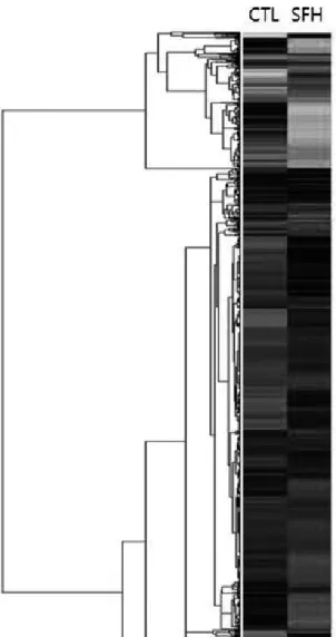 Table 3. Number of down- or up-regulated genes. The number of down-regulated genes(below 0.5 fold ratio)  or up-regulated genes(over 2 fold ratio) were measured in each experimental condition.