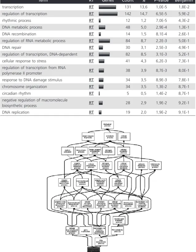 Table 5. Ontological analysis of pathways regulated by SFH administration. Top 15 processes were selected  and the scheme of metabolism were designed using related processes.